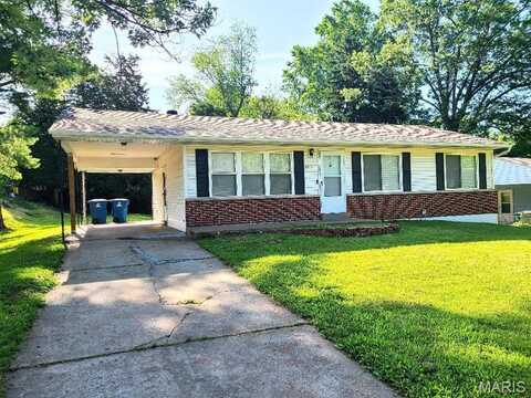 9914 Glen Owen Drive, Saint Louis, MO 63136