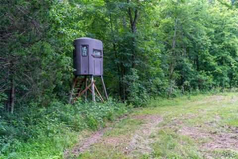 21202 State Highway MM, Glenallen, MO 63751