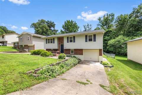 1317 Brandom Street, Jackson, MO 63755