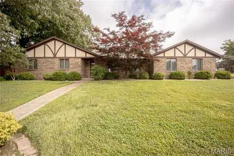 167 Pine Dale Drive, Swansea, IL 62226