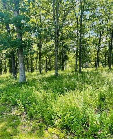 0 Krausetown Road, Owensville, MO 65066