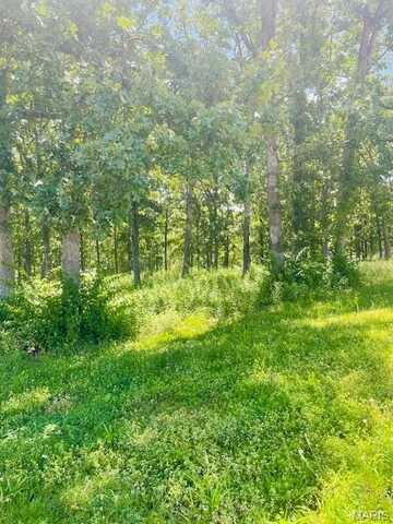 0 Krausetown Road, Owensville, MO 65066