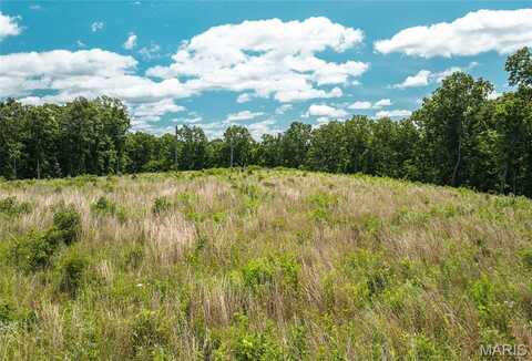 15970 Top Drive, Saint Robert, MO 65584
