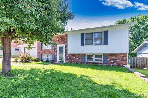 7 Heather Court, Crystal City, MO 63019
