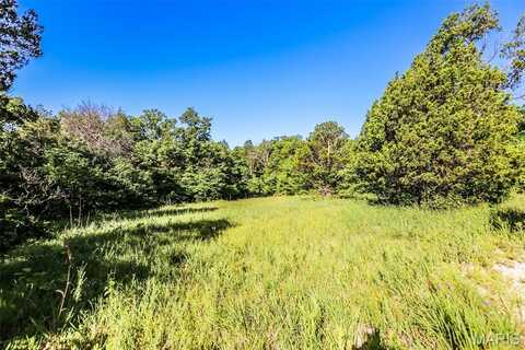 220 Whitetail Ridge, Dittmer, MO 63023