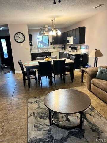 18910 Pine Lake Road, Monroe City, MO 63456