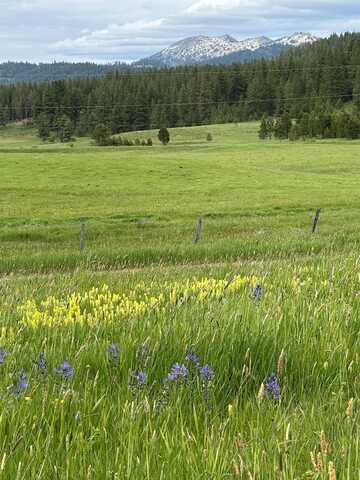 Tbd Nasi Lane, Donnelly, ID 83615