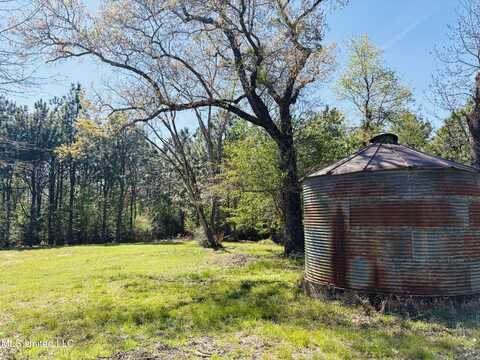 2145 Beesley Road, Lucedale, MS 39452