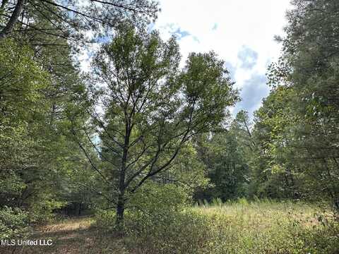 4884 Hwy 13 North, Morton, MS 39117