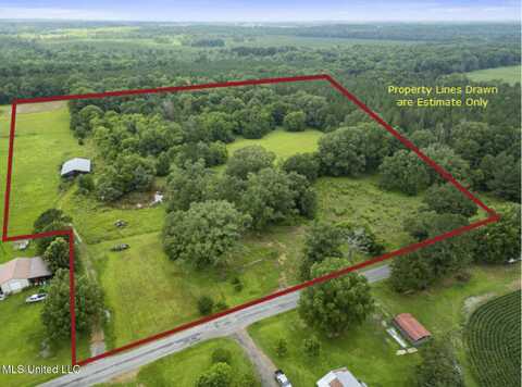 Lewis Prestage Road, Pelahatchie, MS 39145