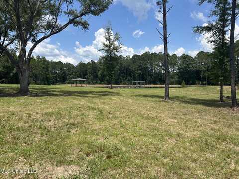 0 Highway 603 Highway, Kiln, MS 39556