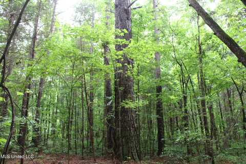 600 Jessie'S Road, Michigan City, MS 38647