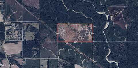 80 Ac Off Farmer Drive, Richton, MS 39476