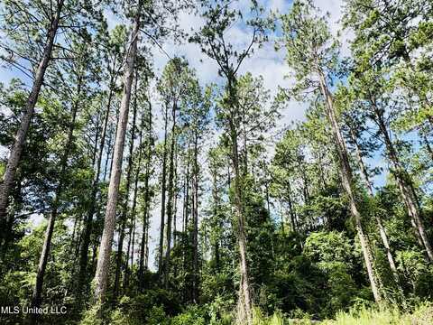 Richard Reeves Road, Lucedale, MS 39452
