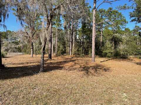 Lot 40 SW MARINE BOULEVARD, DUNNELLON, FL 34431
