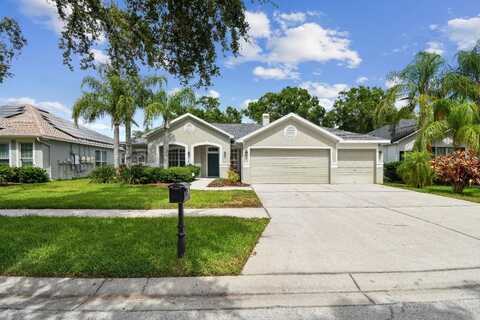 15217 OCTAVIA LANE, ODESSA, FL 33556