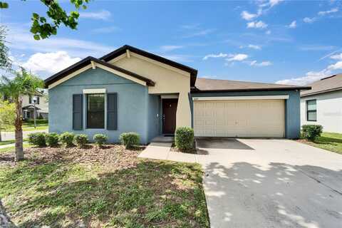 10119 ROSE PETAL PLACE, RIVERVIEW, FL 33578