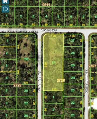 17045 ALVIN AVENUE, PORT CHARLOTTE, FL 33948