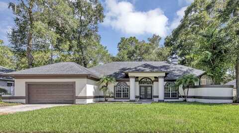 2313 PARK VILLAGE PLACE, APOPKA, FL 32712