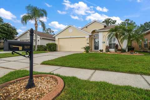 3137 BANYAN HILL LANE, LAND O LAKES, FL 34639