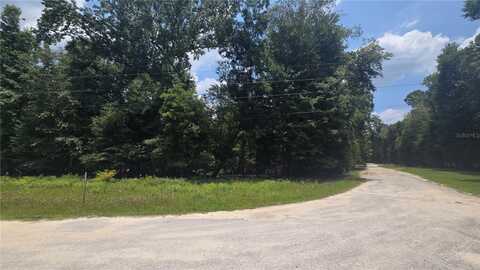 SW 47TH LANE, BELL, FL 32619