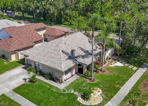 6001 LEMON TREE CT, TAMPA, FL 33625