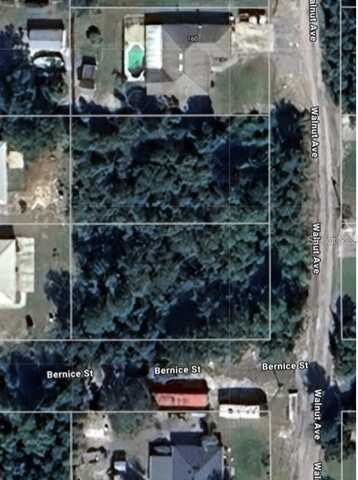 WALNUT AVENUE, ORANGE CITY, FL 32763