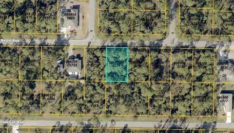 NEON AVENUE, NORTH PORT, FL 34291
