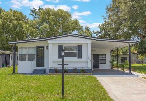 814 ROSEAPPLE AVENUE, LADY LAKE, FL 32159