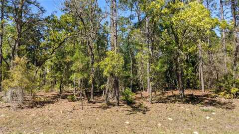 0 SW 97TH PLACE, DUNNELLON, FL 34432
