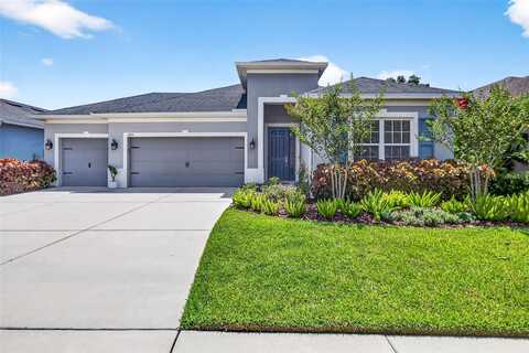 17651 BRIGHT WHEAT DRIVE, LITHIA, FL 33547