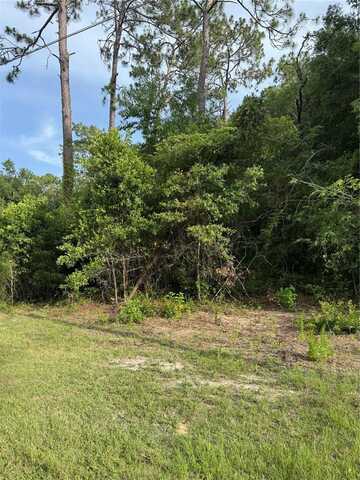 NE 67TH LN, BRONSON, FL 32621