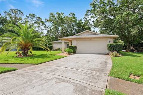 2875 LOMOND DRIVE, PALM HARBOR, FL 34684