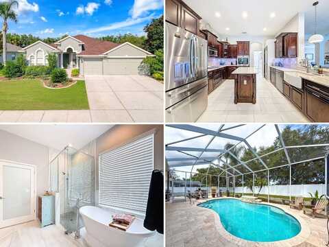 2326 MOUNTAIN ASH WAY, NEW PORT RICHEY, FL 34655