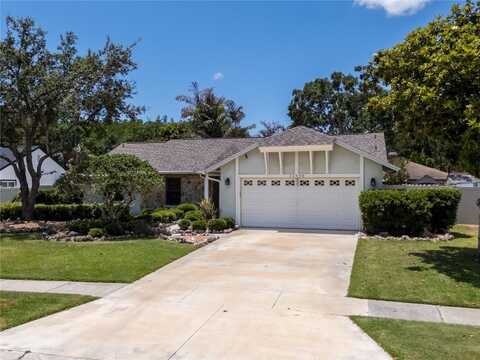 12506 TWISTED OAK DRIVE, TAMPA, FL 33624