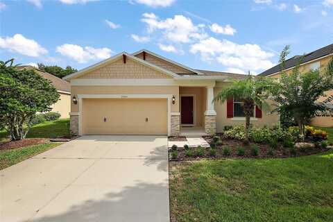 20945 OLDENBURG LOOP, MOUNT DORA, FL 32757