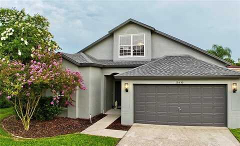 19830 ELLENDALE DRIVE, LAND O LAKES, FL 34638