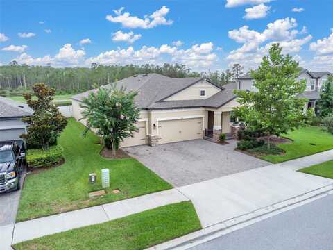 11876 RANCHERS GAP DRIVE, ODESSA, FL 33556