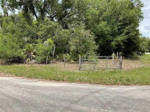 Tbd Lot 56 MALAUKA RADIAL TRAIL, OCKLAWAHA, FL 32179