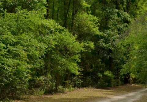 0 56TH STREET, LIVE OAK, FL 32060