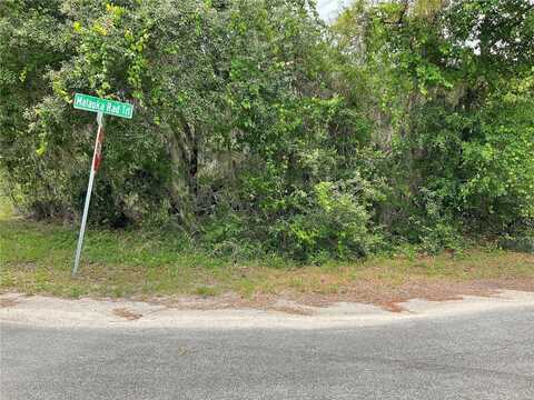 Tbd Lot 59 MALAUKA RADIAL TRAIL, OCKLAWAHA, FL 32179