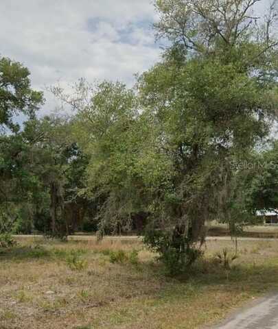 9379 N BROMELIAD TERRACE, CRYSTAL RIVER, FL 34428
