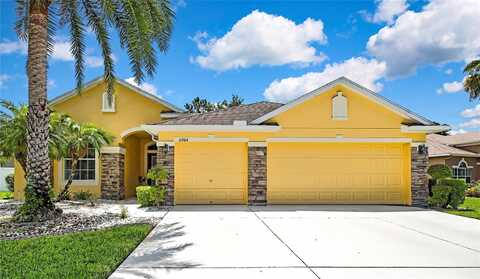 11204 BIDDEFORD PLACE, NEW PORT RICHEY, FL 34654