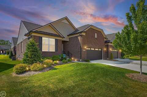 40625 Tulip, Clinton Township, MI 48036