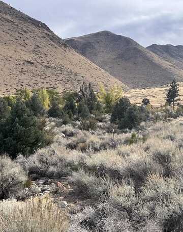 Lot # 10 Mill Creek Drive, Coleville, CA 96107