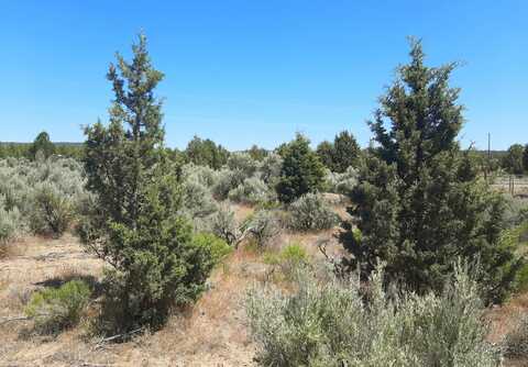 SE Snake Road, Prineville, OR 97754