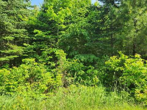 Lot 29b Windfall Lane, Palmyra, ME 04965