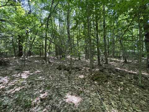 Lot 5 Naples Road, Harrison, ME 04040