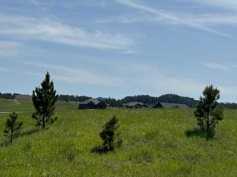 Lot 27 Park Avenue, Custer, SD 57730