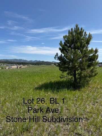 Lot 26 Park Avenue, Custer, SD 57730